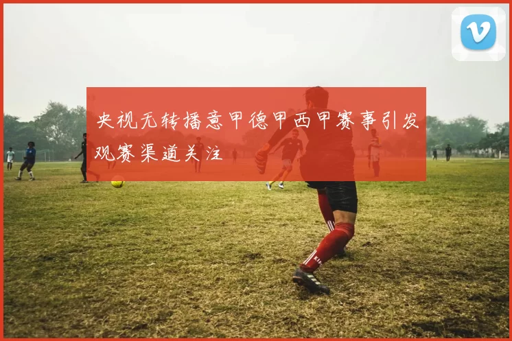 央视无转播意甲德甲西甲赛事引发观赛渠道关注
