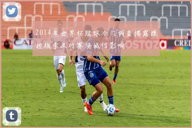 2014年世界杯赌球冷门调查揭露操控线索及对赛场诚信影响
