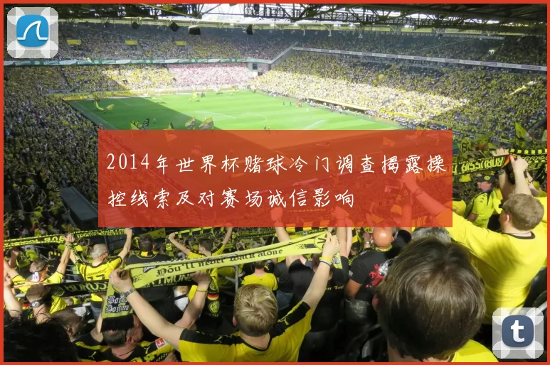 2014年世界杯赌球冷门调查揭露操控线索及对赛场诚信影响