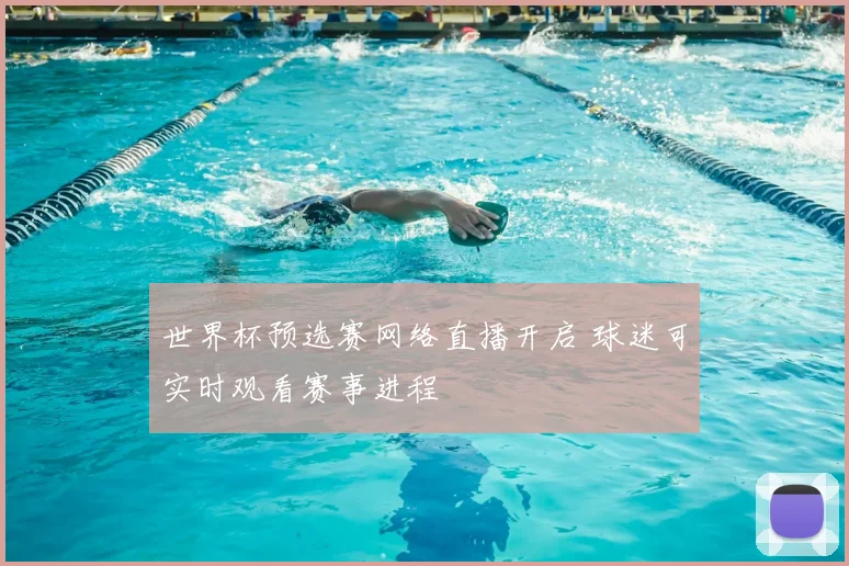 世界杯预选赛网络直播开启 球迷可实时观看赛事进程
