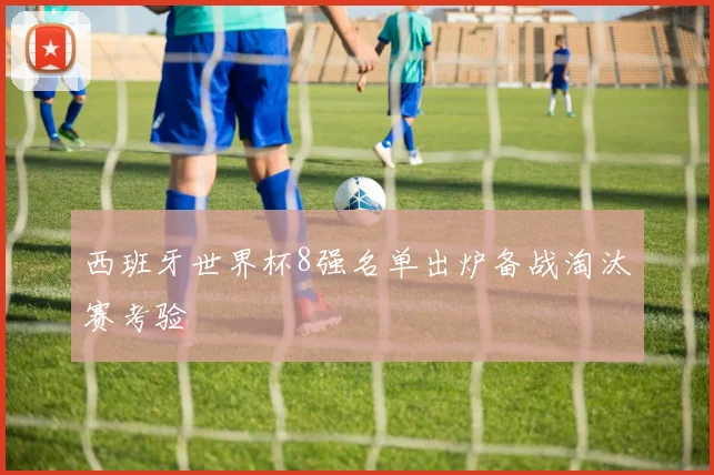 西班牙世界杯8强名单出炉备战淘汰赛考验