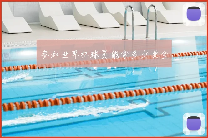 参加世界杯球员能拿多少奖金