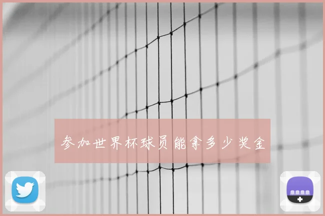 参加世界杯球员能拿多少奖金